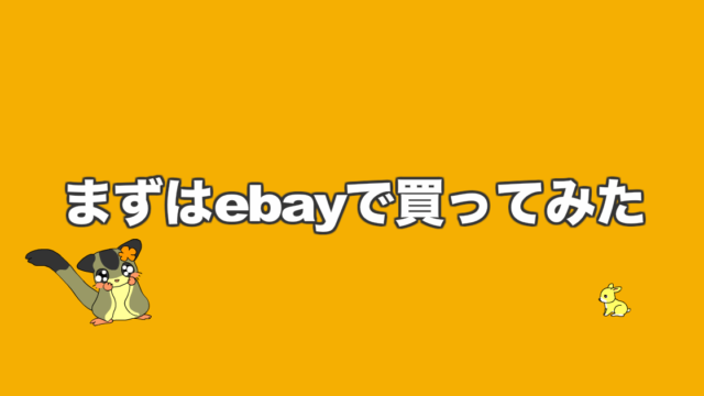 まずはebayで買ってみた